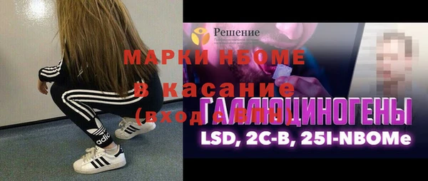 хмурый Абаза