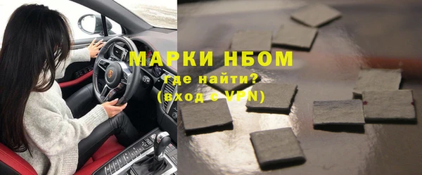 хмурый Абаза
