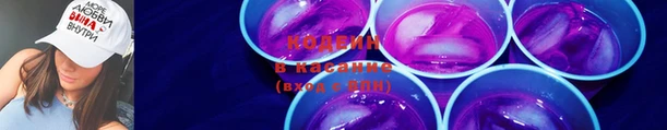 хмурый Абаза