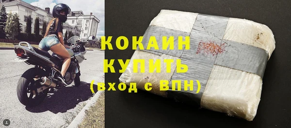 хмурый Абаза